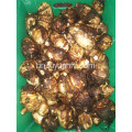 80g এবং তাজা তোর আপ